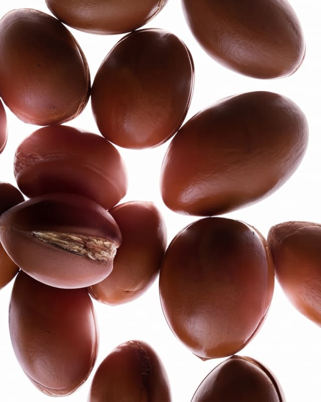 Frutos de argán a contraluz sobre fondo blanco.